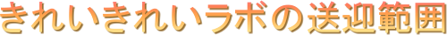 ꂢꂢ{̑}͈