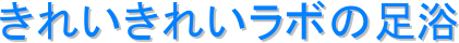 ꂢꂢ{̑