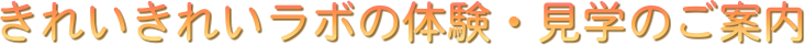 ꂢꂢ{̑̌Eŵē