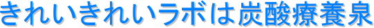 ꂢꂢ{͒Y_×{