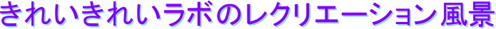 ꂢꂢ{̃NG[Vi
