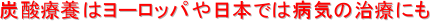 Y_×{̓[bp{ł͕aC̎Âɂ